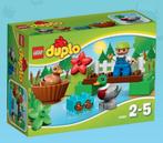 Duplo Boseenden (10581), Ophalen, Zo goed als nieuw, Complete set, Duplo