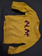 Sweater, Kinderen en Baby's, Kinderkleding | Maat 98, Ophalen of Verzenden, Zo goed als nieuw, Jongen, Trui of Vest