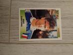 Panini Eric Cantona euro 96/ ek 96, Ophalen of Verzenden, Zo goed als nieuw, Meerdere stickers
