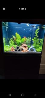 Juwel Lido 120 L met daglicht lampen en timer krasvrij!, Dieren en Toebehoren, Vissen | Aquaria en Toebehoren, Ophalen, Zo goed als nieuw