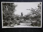 ALPHEN a/d RIJN Park Hazeveld met watertoren 1953, Ophalen of Verzenden, 1940 tot 1960, Zuid-Holland