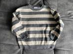 Zara trui, Trui of Vest, Ophalen of Verzenden, Zo goed als nieuw, Jongen