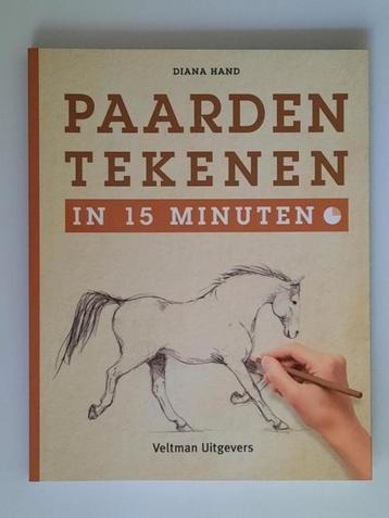 Paarden tekenen in 15 minuten . Diana Hand beschikbaar voor biedingen