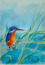 ‘Ijsvogel ol riet’, ingelijst, Ophalen of Verzenden