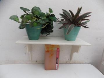 Wandplank wit brocante antiek planten keuken vintage retro