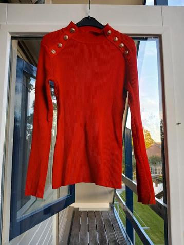 Leuk rood truitje  beschikbaar voor biedingen