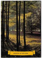 Den Ham Gelopen Ansichtkaart ( B6015), Ophalen of Verzenden, 1980 tot heden, Gelopen