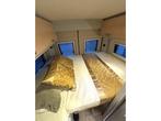 Hymer Free 600 DWARSBED HEFDAK 2020 EURO 6 CAMPER 5.99M, Caravans en Kamperen, Campers, Fiat, Bedrijf, Hymer, 5 tot 6 meter