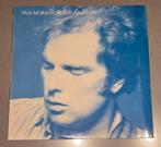 Van Morrison - Into The Music, Ophalen of Verzenden, Zo goed als nieuw, 12 inch, Poprock