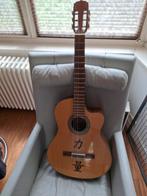 Aria AK 30e electrische akoestische gitaar., Muziek en Instrumenten, Snaarinstrumenten | Gitaren | Akoestisch, Ophalen, Zo goed als nieuw