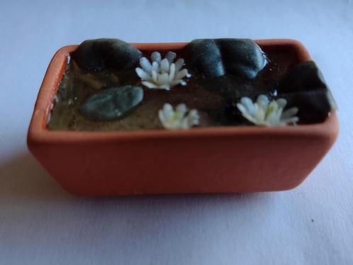 terra cotta vijverbak met waterlelies / miniatuur, Verzamelen, Poppenhuizen en Toebehoren, Nieuw, Decoratie, Ophalen