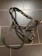 Leren halster (zwart) met gouden biesje maat full, Dieren en Toebehoren, Ophalen of Verzenden, Zo goed als nieuw