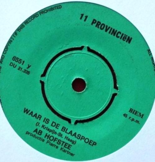 Ab Hofstee ‎– Waar Is De Blaaspoep, Cd's en Dvd's, Vinyl Singles, Nederlandstalig, Verzenden