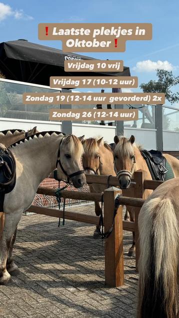 Bosritten montferlandbos beschikbaar voor biedingen