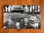 Diever, Eendenvijver. 1966., Ophalen of Verzenden, 1960 tot 1980, Gelopen, Drenthe