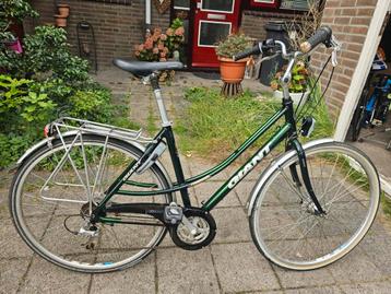 Giant Freerider. 21 versnellingen. Framemaat 50 beschikbaar voor biedingen