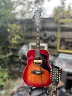 EKO 12-snarige Akoestische Gitaar met Element, Ophalen, Gebruikt, Western- of Steelstringgitaar, 12-snarig