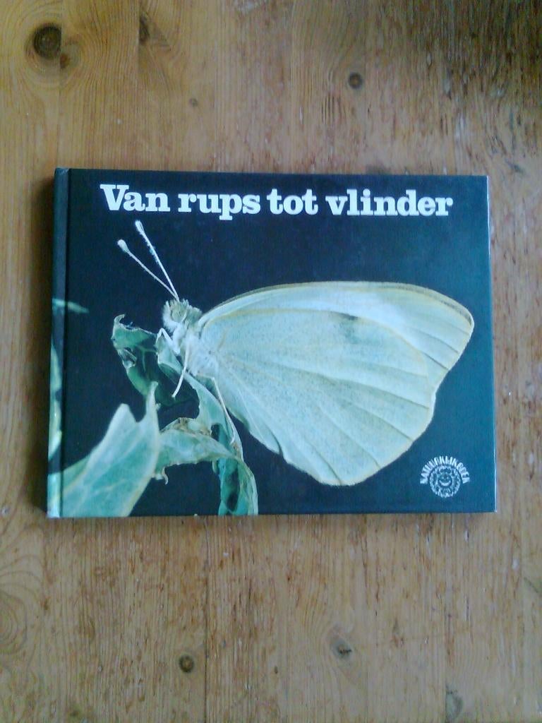 Van rups tot vlinder, Boeken, Natuur, Zo goed als nieuw, Vogels, Ophalen of Verzenden