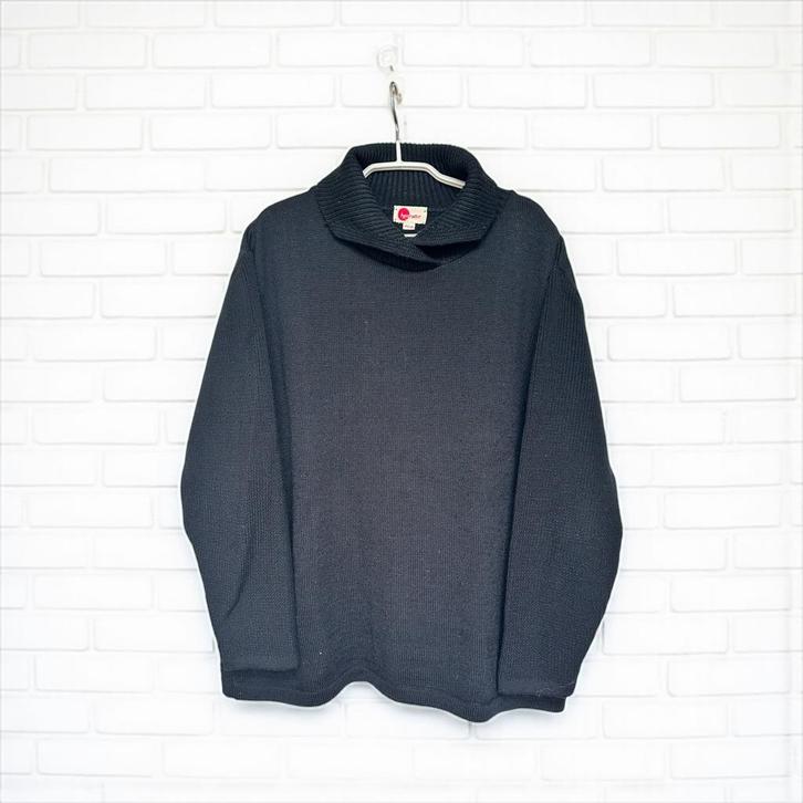 Hessnatur Trui Maat 46/48 Zwart Gebreid Rolkraag Unisex, Kleding | Dames, Truien en Vesten, Gedragen, Maat 46/48 (XL) of groter
