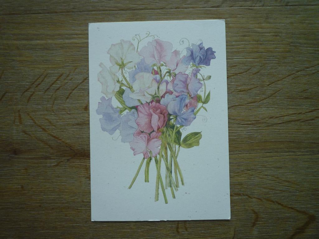 Lathyrus bloemen Marjolein Bastin, Ophalen of Verzenden, Voor 1920, Overige thema's