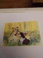 ANJE RASKER.  HONDEN. IN HET GRAS, Ophalen of Verzenden, 2000 tot heden