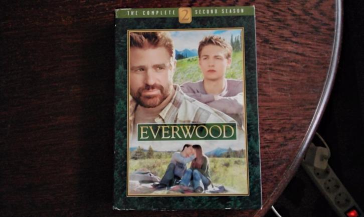 Everwood seizoen 2 compleet, 6disks, origineel, Cd's en Dvd's, Dvd's | Tv en Series, Zo goed als nieuw, Drama, Boxset, Alle leeftijden
