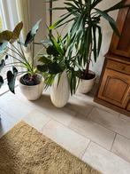 Grote Bloempotten Set - Binnen, Ophalen, Overige materialen, Overige kleuren, Nieuw