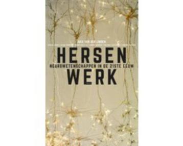 Hersenwerk 9789058758675 beschikbaar voor biedingen