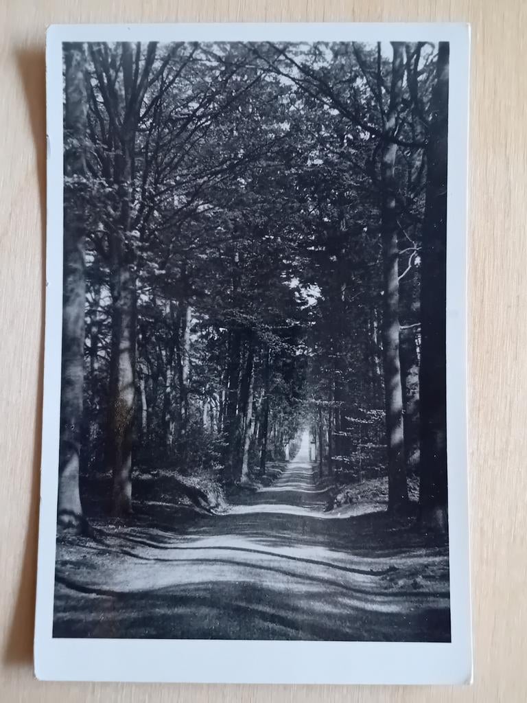 Ansichtkaart Hilversum, Ophalen of Verzenden, Noord-Holland