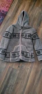 Ixtlan 100% wollen vest L, Maat 42/44 (L), Ophalen of Verzenden, Zo goed als nieuw, Jack