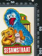 Sticker: Sesamstraat (5), Verzamelen, Ophalen of Verzenden, Zo goed als nieuw, Film, Tv of Omroep