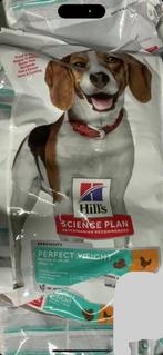 Hills Hondenbroken HBHD - tot 4-2027, Ophalen of Verzenden, Hond