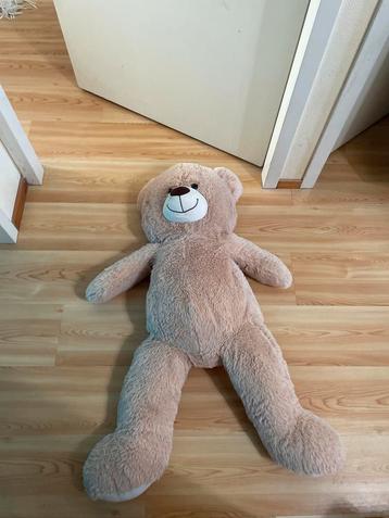 Grote Teddybeer - Zo Goed Als Nieuw! beschikbaar voor biedingen