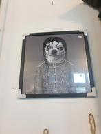 Schilderij Chihuahua Michael Jackson, Nieuw, Schilderij, Ophalen of Verzenden