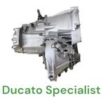 ducato 280 en 290 gebruikte plus gereviseerd met garantie, Ophalen of Verzenden, Gereviseerd, Fiat