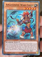 Yu-Gi-Oh! Amazoness War Chief DABL 1st Edition !, Hobby en Vrije tijd, Verzamelkaartspellen | Yu-gi-Oh!, Verzenden, Zo goed als nieuw