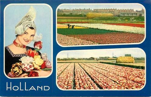 (300-072-047) Nederland Holland in bloementooi, Verzamelen, Ansichtkaarten | Nederland, Verzenden