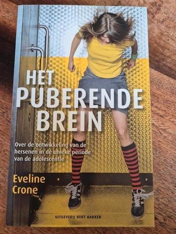 Eveline Crone - Het puberende brein beschikbaar voor biedingen