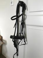 Passier stang- en trens hoofdstel, Ophalen, Gebruikt, Dressuur