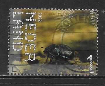 2022, Leuvenumse Bossen, Mestkever [4051] (K1120) beschikbaar voor biedingen