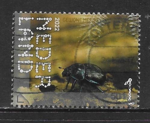 2022, Leuvenumse Bossen, Mestkever [4051] (K1120), Postzegels en Munten, Postzegels | Nederland, Ophalen of Verzenden
