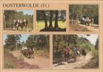 OOSTERWOLDE (Fr.) Ruiters Paarden Huifkar, Verzamelen, Verzenden, 1980 tot heden, Gelopen, Friesland