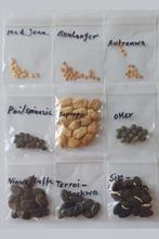 Originele Surinaamse groentezaden. Gehaald uit Suriname., Ophalen of Verzenden, Volle zon