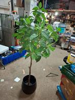 Mooie Kunstplant voor Binnen/Buiten, Ophalen, Onbekend, Nieuw, Onbekend