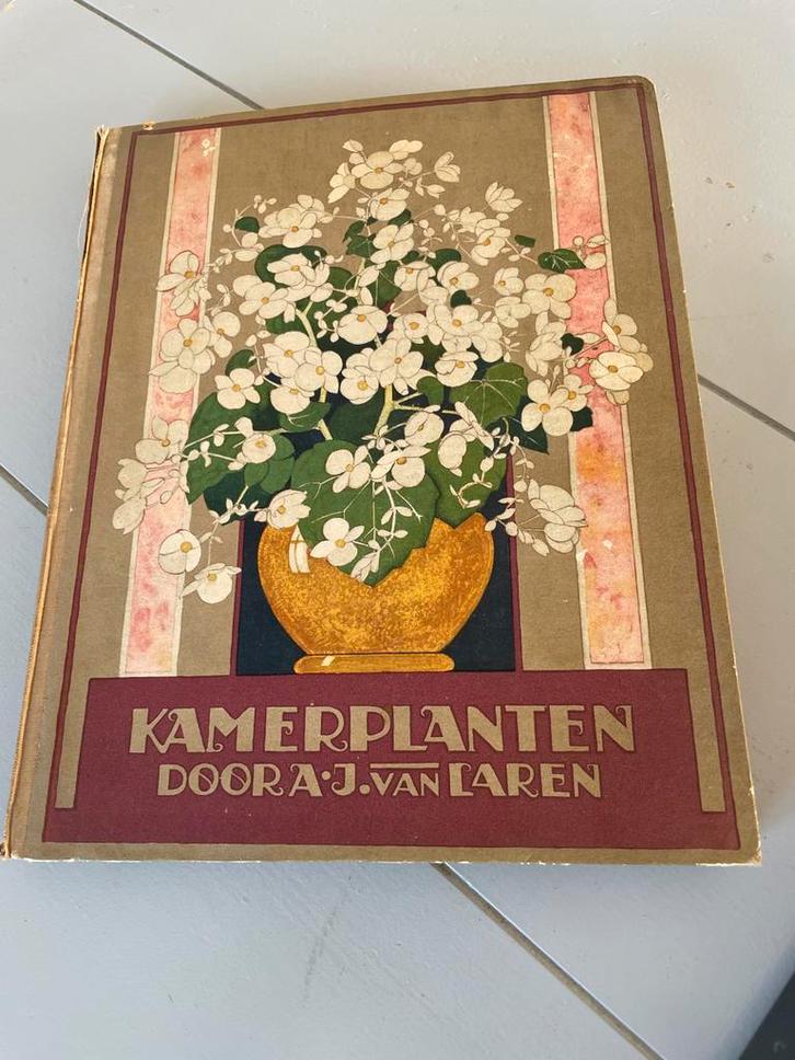 Verkade Kamerplanten door A.J. van Laren - Vintage Boek, Boeken, Wonen en Tuinieren, Gelezen, Kamerplanten, Ophalen of Verzenden