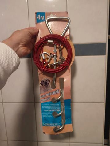 Honden combo riem beschikbaar voor biedingen