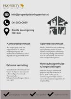 Schoonmaak aangeboden - Zwolle en omgeving, Vanaf 10 jaar, Overige vormen