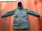 Elvine-winterjas, Verzenden, Maat 48/50 (M), Groen