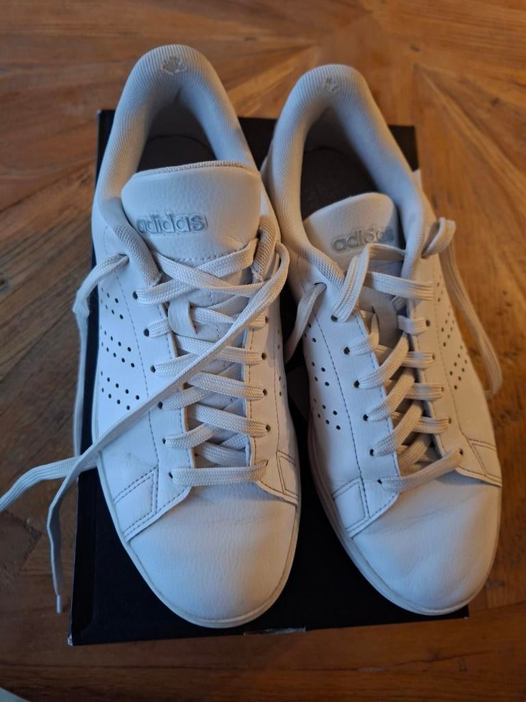 Adidas sneakers maat 40 wit, Kleding | Dames, Schoenen, Adidas, Wit, Ophalen of Verzenden, Sneakers of Gympen