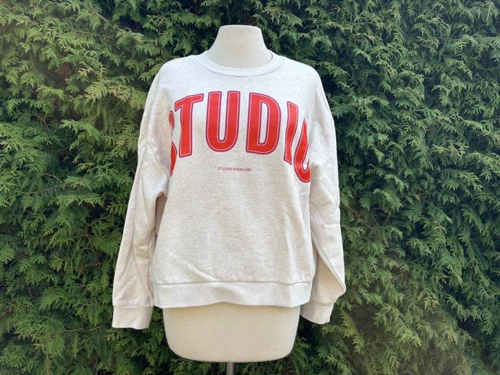 Studio Anneloes ‘Studio’ Trui mt S oversized & comfortabel, Kleding | Dames, Truien en Vesten, Zo goed als nieuw, Maat 36 (S)